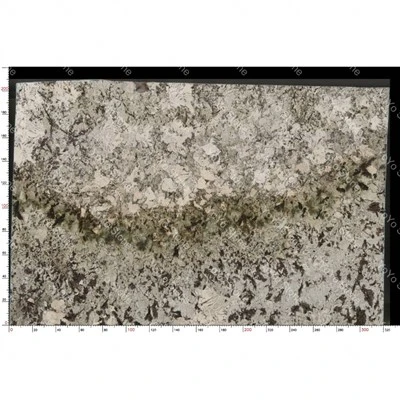 Slab Of Quartzite